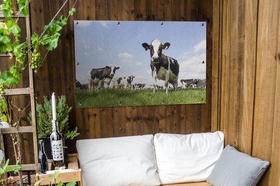 Tuinposter koeien - Tuindecoratie dieren - 120x80 cm - Tuindoek Friesland - Muurdecoratie voor buiten - Schuttingposter - Tuinschilderijen - Tuinwanddecoratie gras - Tuinposters