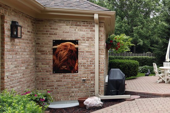 Tableau de jardin Scottish Highlander - Vache - Cornes - Portrait - Animaux - 60x80 cm - Affiche jardin - Toile jardin - Affiche extérieur