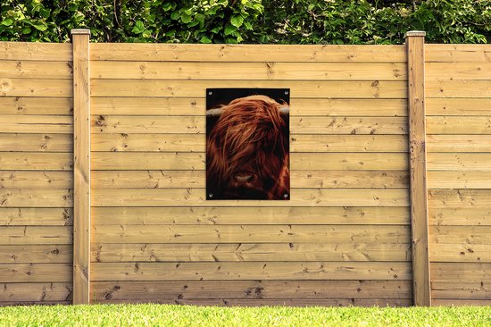 Tableau de jardin Scottish Highlander - Vache - Cornes - Portrait - Animaux - 60x80 cm - Affiche jardin - Toile jardin - Affiche extérieur