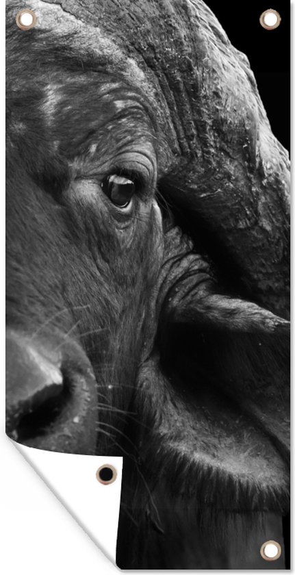 Tuinposter Buffalo - Dieren - Zwart - Wit - 30x60 cm - Tuindoek - Buitenposter