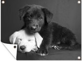 Tuinschilderij Honden - Puppy - Zwart - Wit - Dieren - 80x60 cm - Tuinposter - Tuindoek - Buitenposter