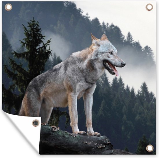 Posters de jardin Loup - Animal - Forêt - 50x50 cm - Toile de jardin - Affiche extérieure