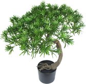 Greenmoods Kunstplanten - Kunstplanten - Kunst Bonsai Pine - Zijde - 55 cm