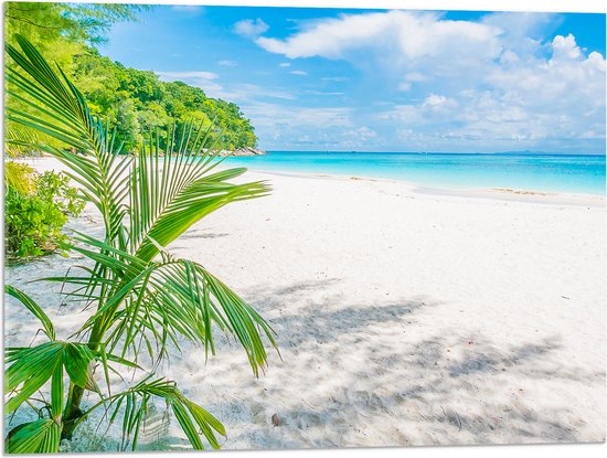 Palmbladeren boven Wit Strand in Acrylglas