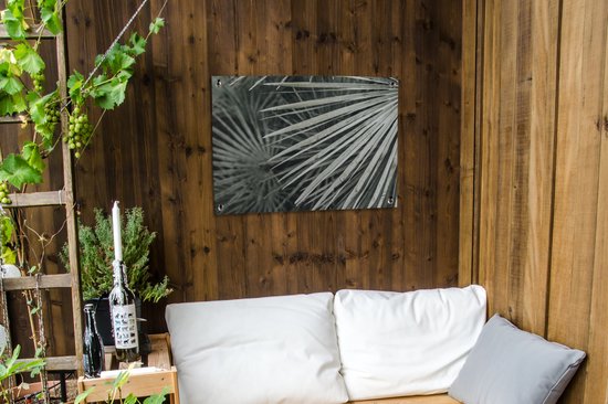 Tableau jardin Feuilles - Vert - Palmier - 80x60 cm - Poster jardin