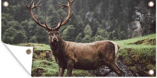 Affiche de jardin Cerf - Arbre - Berg - 60x30 cm