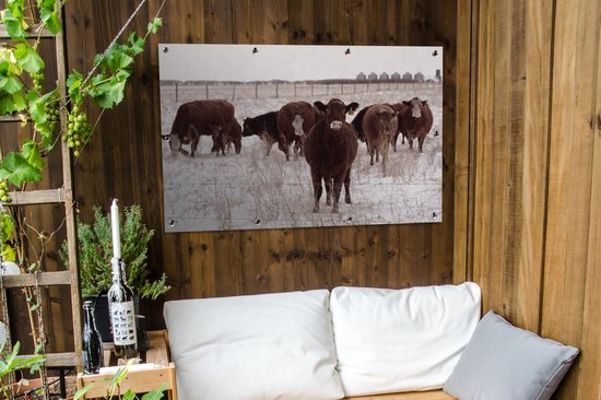 Affiche de jardin Troupeau de vaches dans un champ de neige 120x80 cm - Toile de jardin / Toile d'extérieur / Peintures d'extérieur (décoration de jardin)