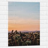 WallClassics - Muursticker - Cylindropuntia Fulgida Plantjes voor Berglandschap met Oranje Lucht - 50x75 cm Foto op Muursticker