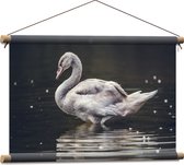 WallClassics - Textielposter - Grijze Knobbel Zwaan Staand in het Water - 60x40 cm Foto op Textiel