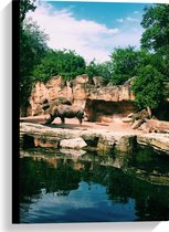 WallClassics - Toile - Rhinocéros près des rochers et de Water - 40x60 cm Photo sur toile (Décoration murale sur toile)