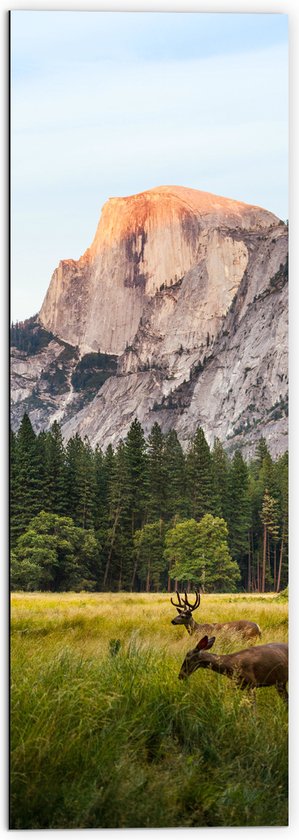 WallClassics - Dibond - Grazende Dieren met Bos en Berg op de Achtergrond - 50x150 cm Foto op Aluminium (Met Ophangsysteem)