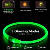 Groene LED Halsband voor honden - Groen verlichte halsband - 50 cm - Graag goed de maat opmeten! - Lichtgevende Halsband Hond - Oplaadbaar via USB - adjustable - verstelbaar - verstelbare halsband USB oplaadbaar