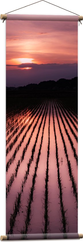 WallClassics - Textielposter - Zonsondergang met Rietvelden - 40x120 cm Foto op Textiel