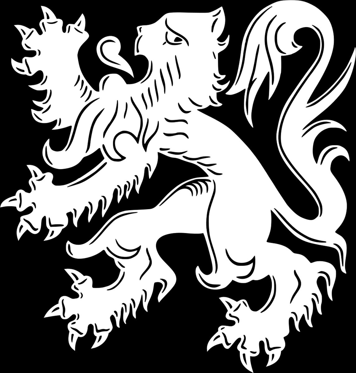 Vlag Asse 120x180cm