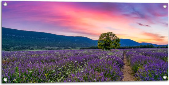 Tuinposter – Lavendel Veld met Zonsondergang en Mooie Lucht - 100x50 cm Foto op Tuinposter (wanddecoratie voor buiten en binnen)