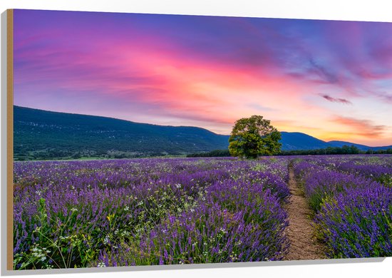 Hout - Lavendel Veld met Zonsondergang en Mooie Lucht - 120x80 cm - 9 mm dik - Foto op Hout (Met Ophangsysteem)