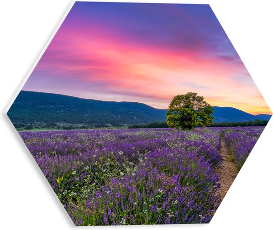 PVC Schuimplaat Hexagon - Lavendel Veld met Zonsondergang en Mooie Lucht - 30x26.1 cm Foto op Hexagon (Met Ophangsysteem)