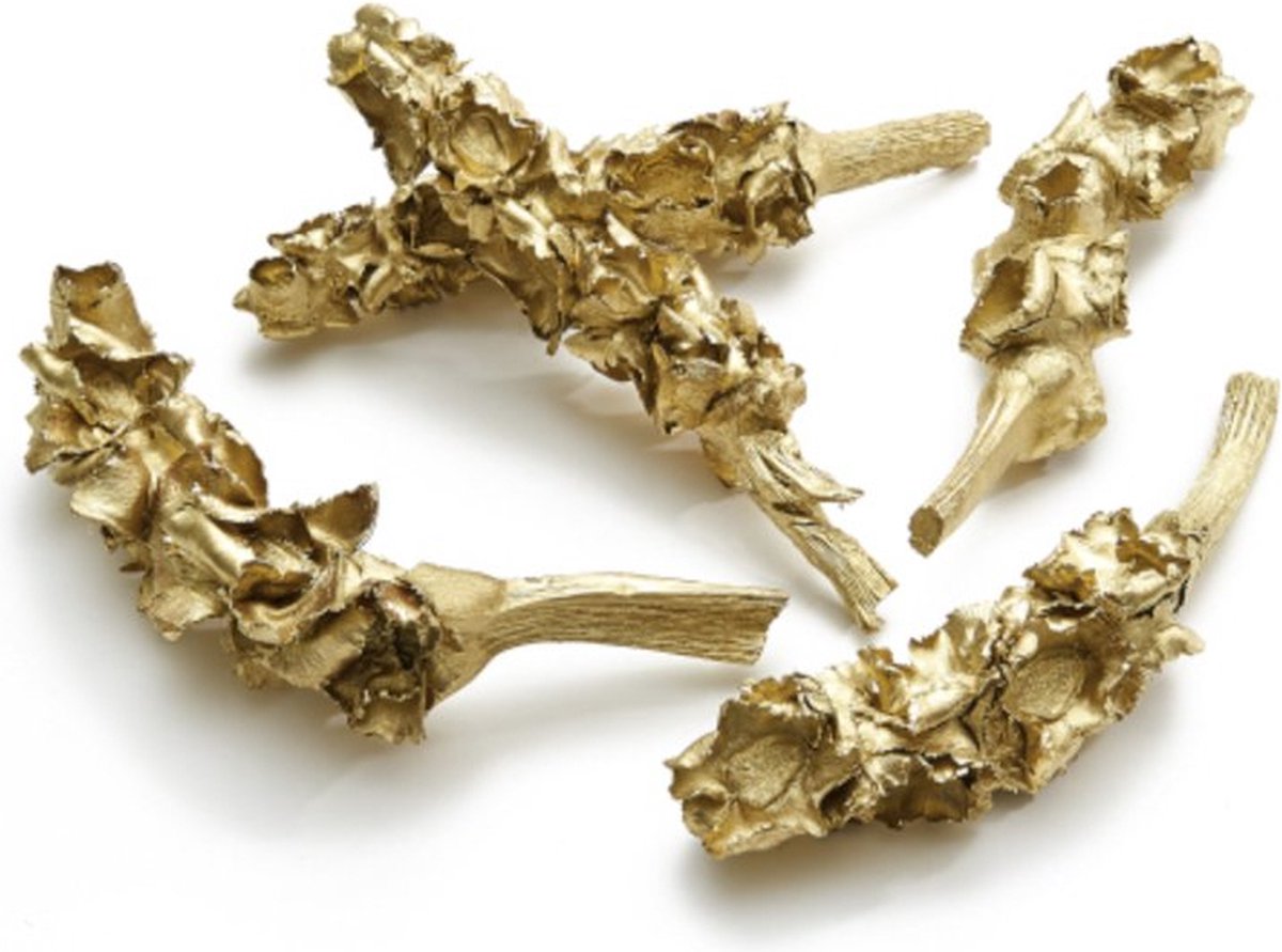 Noten, Fruit En Dennenappels - Palm Female 25-40cm Gold 5pcs