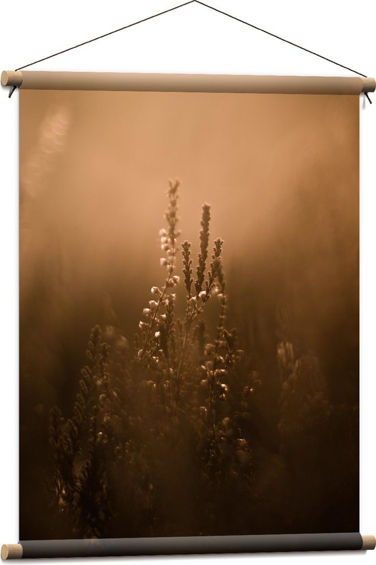 WallClassics - Textielposter - Droge Takken in Wazig Zonlicht - 60x80 cm Foto op Textiel