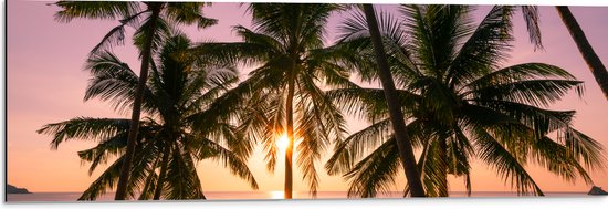 Dibond - Tropische Palmbomen voor Oceaan en Zonsondergang - 90x30 cm Foto op Aluminium (Wanddecoratie van metaal)