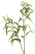 Kunstbloemen En Overige - Pansia Leaf Spray Green 110cm