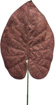 Kunstbloemen En Overige - Velvet Philo Leaf Brown 70cm
