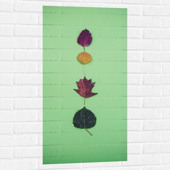WallClassics - Muursticker - Verschillende Bladeren op Pastelgroene Achtergrond - 50x100 cm Foto op Muursticker