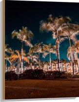 Hout - Verlichte Palmbomen in Nacht - 60x80 cm - 9 mm dik - Foto op Hout (Met Ophangsysteem)