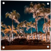 Tuinposter – Verlichte Palmbomen in Nacht - 50x50 cm Foto op Tuinposter (wanddecoratie voor buiten en binnen)