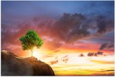 Poster Glanzend – Fel Groen Gekleurde Boom met Prachtige Zonsondergang op een Berglandschap - 105x70 cm Foto op Posterpapier met Glanzende Afwerking