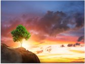 Poster Glanzend – Fel Groen Gekleurde Boom met Prachtige Zonsondergang op een Berglandschap - 80x60 cm Foto op Posterpapier met Glanzende Afwerking