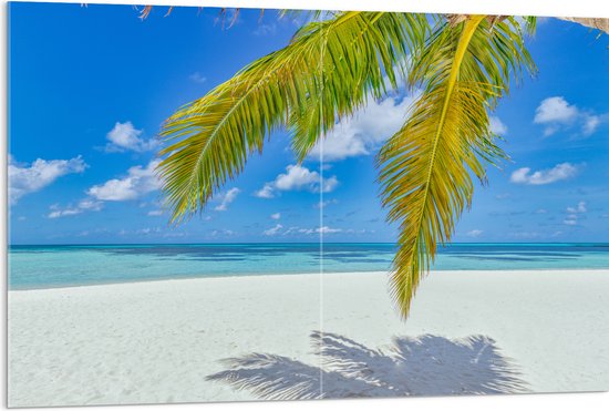 Acrylglas - Palmbladeren Hangend voor Tropisch Eiland met Breed Strand - 120x80 cm Foto op Acrylglas (Wanddecoratie op Acrylaat)