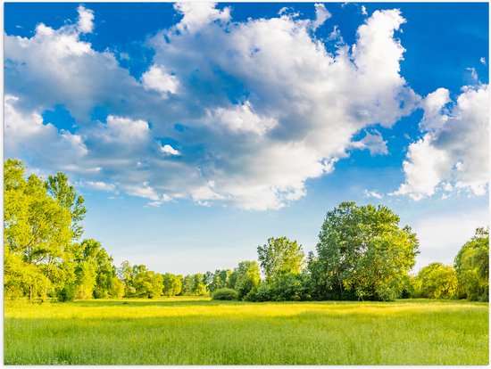 Poster Glanzend – Natuur Weide in de Lente - 80x60 cm Foto op Posterpapier met Glanzende Afwerking