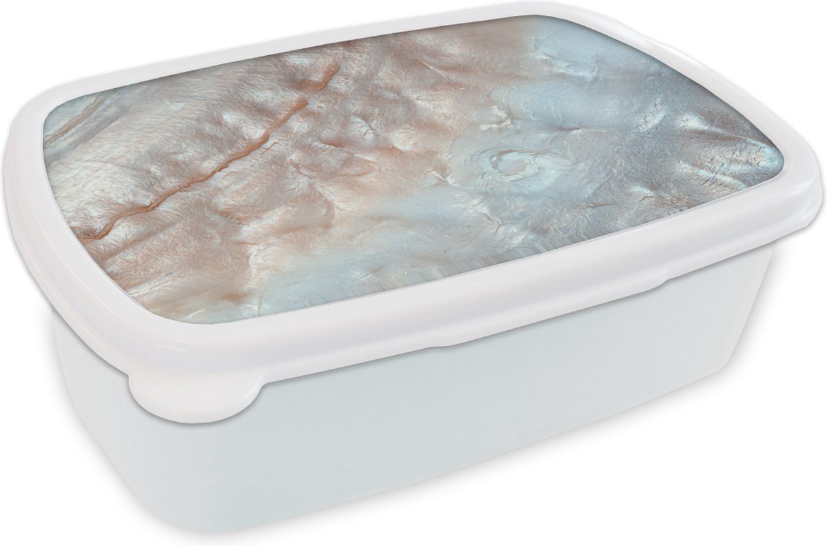 Broodtrommel Wit - Lunchbox - Brooddoos - Schelpen - Abstract - Natuur - 18x12x6 cm - Volwassenen