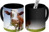 Magische Mok - Foto op Warmte Mokken - Koffiemok - Koe - Dieren - Bloemen - Gras - Magic Mok - Beker - 350 ML - Theemok