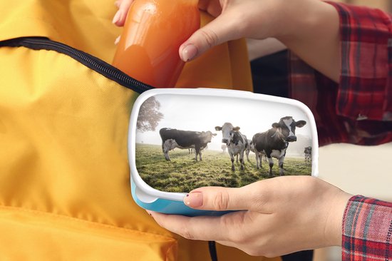 Lunchbox Blauw - Lunchbox - Boîte à pain - Vaches - Léger - Herbe - Animaux - 18x12x6 cm - Enfants - Garçon