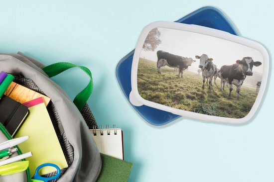 Lunchbox Blauw - Lunchbox - Boîte à pain - Vaches - Léger - Herbe - Animaux - 18x12x6 cm - Enfants - Garçon