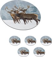 Onderzetters voor glazen - Rond - Hert - Dieren - Sneeuw - Winter - Landschap - Natuur - 10x10 cm - Glasonderzetters - 6 stuks