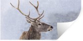 Stickers muraux - Film autocollant - Neige - Cerf - Hiver - 120x60 cm - Film adhésif - Stickers muraux Chambre d'enfant - Papier peint autocollant