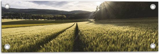 WallClassics - Garden Poster - A Path through the Grain - 60x20 cm Photo sur Garden Poster (décoration murale pour l'extérieur et l'intérieur)