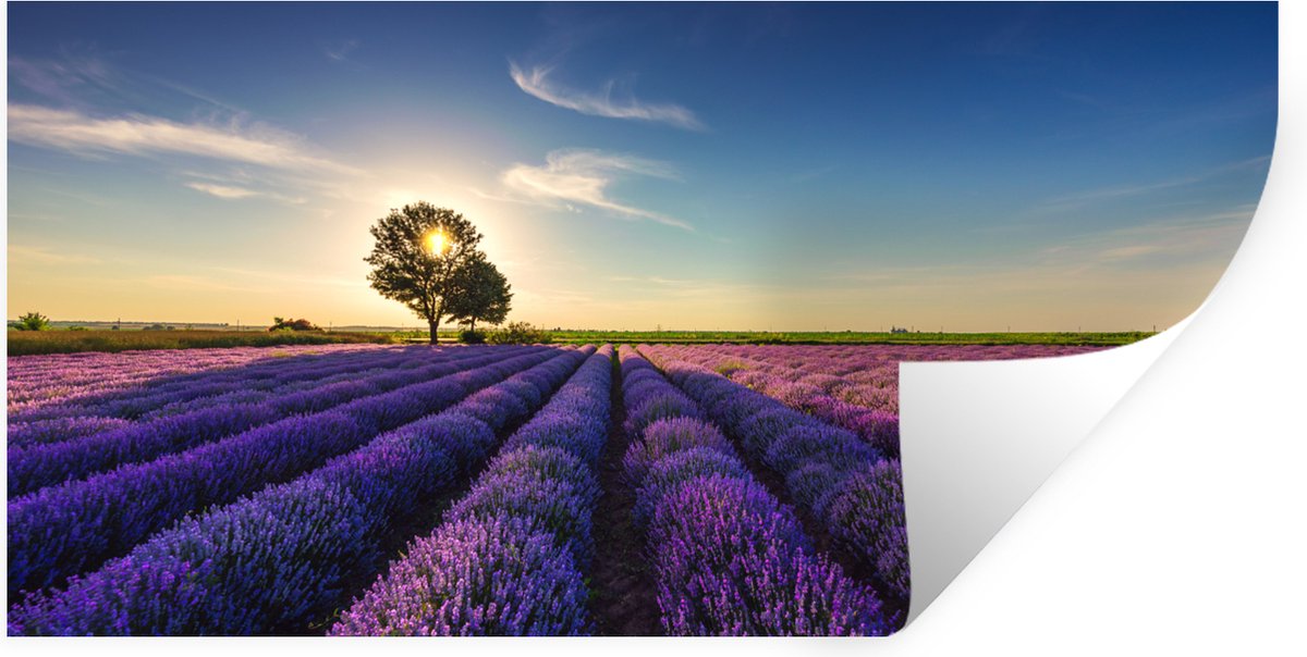 Muurstickers - Sticker Folie - Lavendel - Zon - Boom - Bloemen - Paars - 80x40 cm - Plakfo