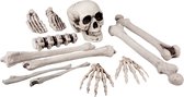 Crâne et os ensemble de 12 pièces