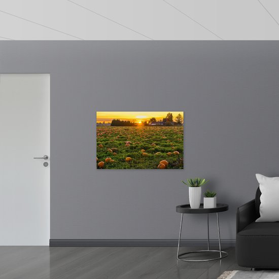 WallClassics - Plaque de Mousse PVC - Soleil Couchant au Champ de Citrouilles - 105x70 cm Photo sur Plaque de Mousse PVC (Avec Système d'accrochage)