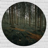 WallClassics - Muursticker Cercle - Colline Forêt - 100x100 cm Photo sur Muursticker