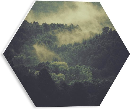 WallClassics - PVC Schuimplaat Hexagon  - Mist boven Boomtoppen - 30x26.1 cm Foto op Hexagon (Met Ophangsysteem)