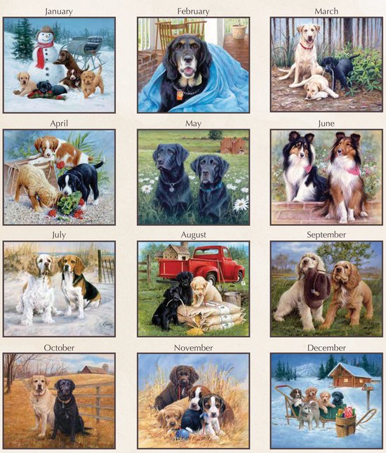 Must Love Dogs Kalender 2023