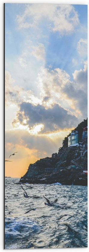 WallClassics - Dibond - Vogels Vliegend langs Bergen aan de Kust - 30x90 cm Foto op Aluminium (Wanddecoratie van metaal)