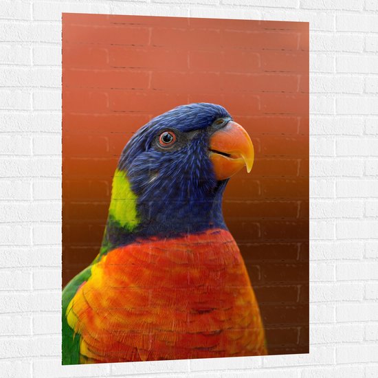 WallClassics - Muursticker - Hoofd van Kleurrijke Loriini Vogel - 80x120 cm Foto op Muursticker