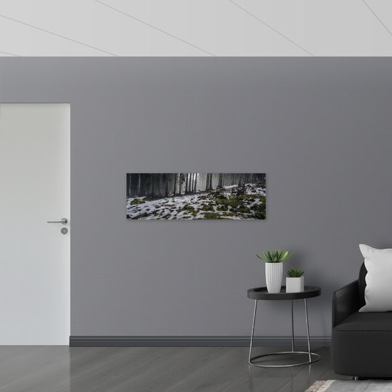 WallClassics - Panneau en mousse PVC – Arbres étroits dans la forêt avec de petits morceaux de neige – Photo 120 x 40 cm sur panneau en mousse PVC