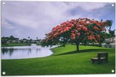 WallClassics - Tuinposter – Grote Bloesemboom bij Meer in Parkje - 90x60 cm Foto op Tuinposter  (wanddecoratie voor buiten en binnen)